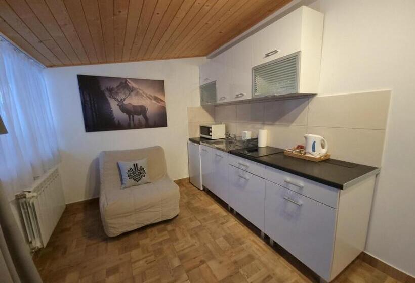 Отель Willa Antałówka