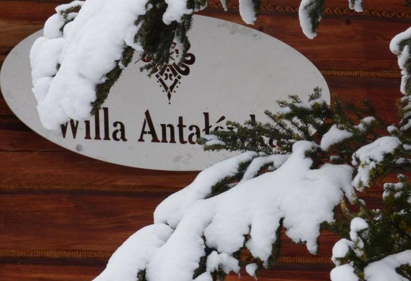 Отель Willa Antałówka
