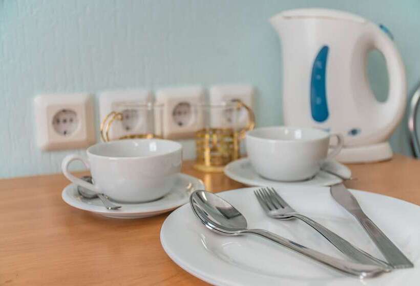 בית מלון כפרי Business Tourist