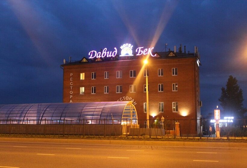 Отель David Bek