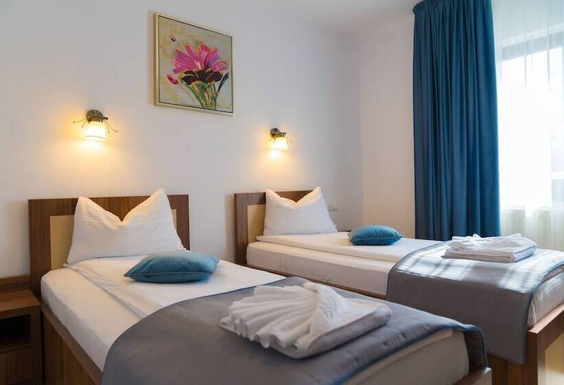 هتل Pensiunea Transilvania