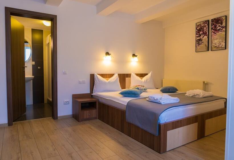 هتل Pensiunea Transilvania