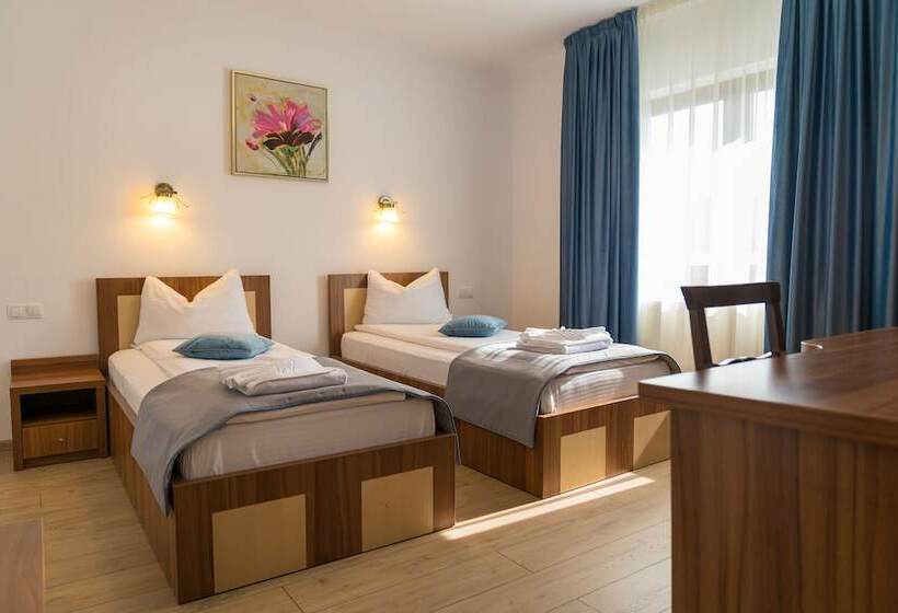 هتل Pensiunea Transilvania