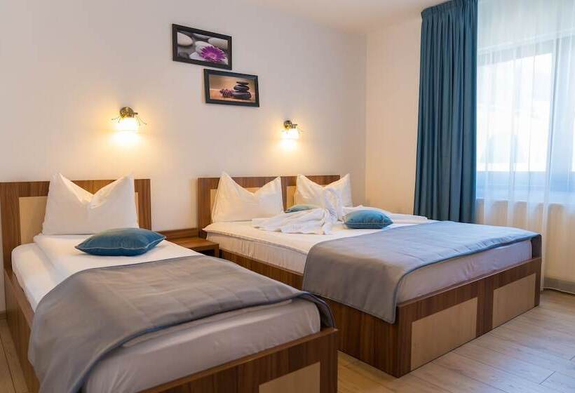 هتل Pensiunea Transilvania