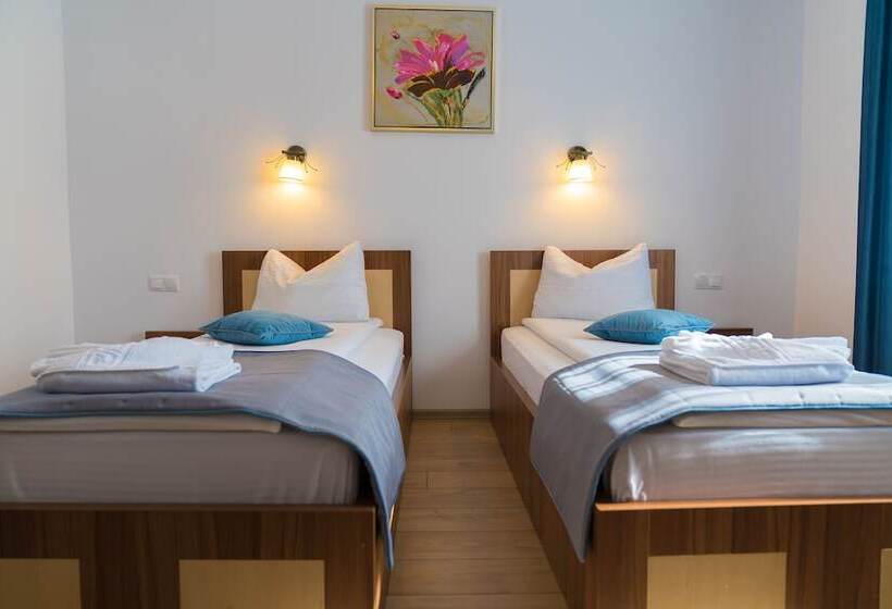 هتل Pensiunea Transilvania