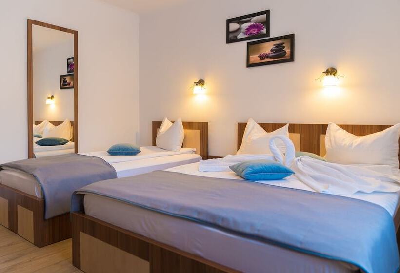 هتل Pensiunea Transilvania