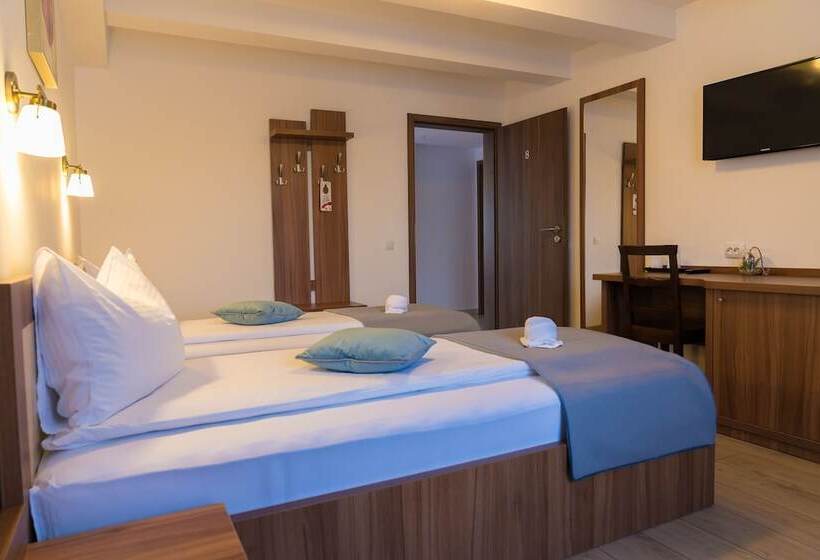 هتل Pensiunea Transilvania