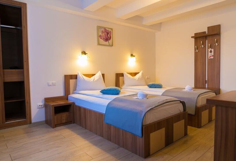 هتل Pensiunea Transilvania