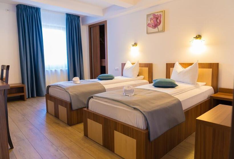 هتل Pensiunea Transilvania