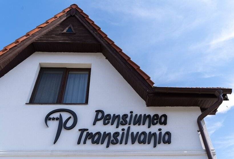 هتل Pensiunea Transilvania