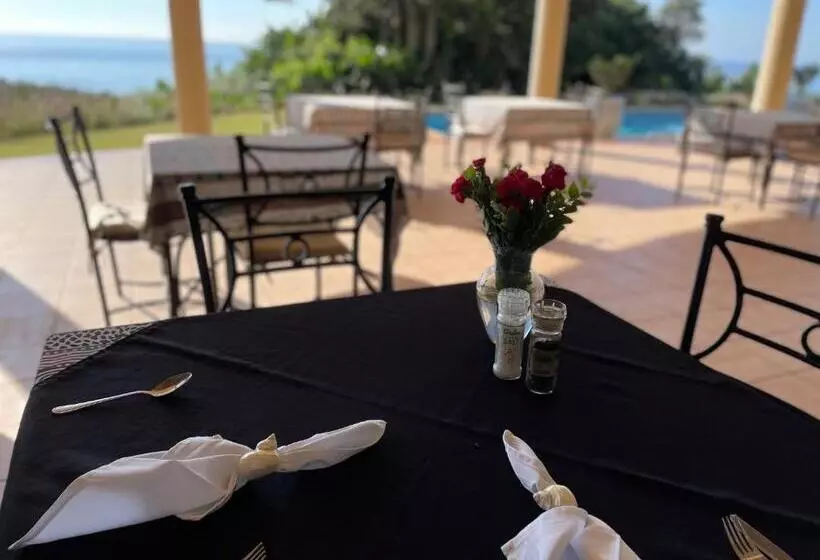 هتل Albatross Guesthouse