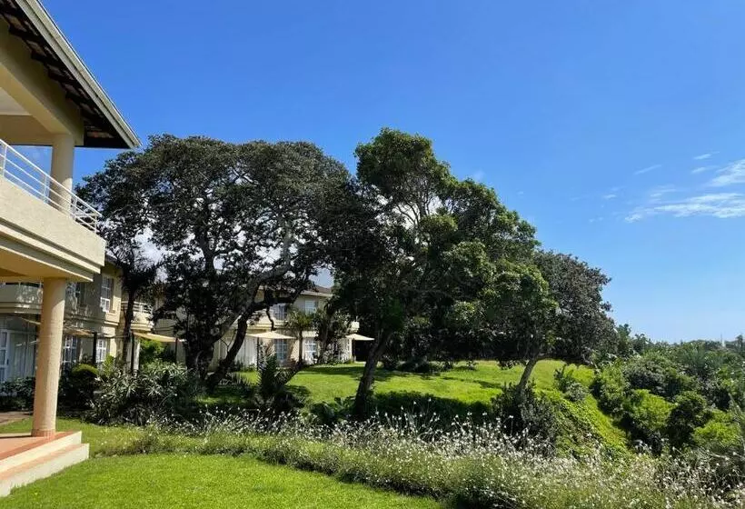 هتل Albatross Guesthouse