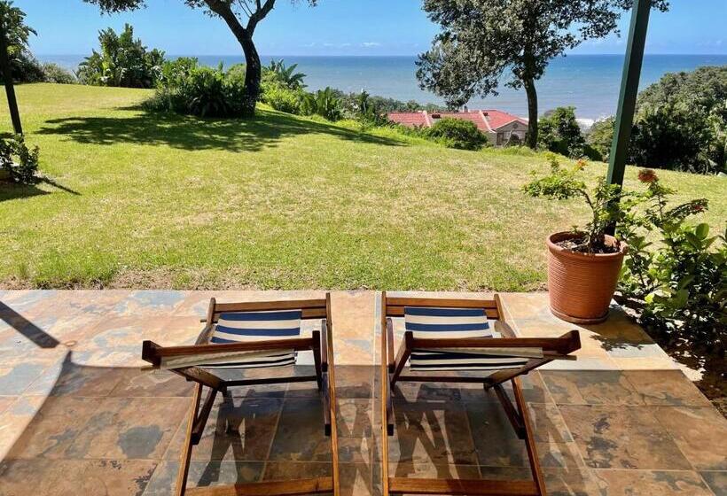 בית מלון כפרי Albatross Guesthouse