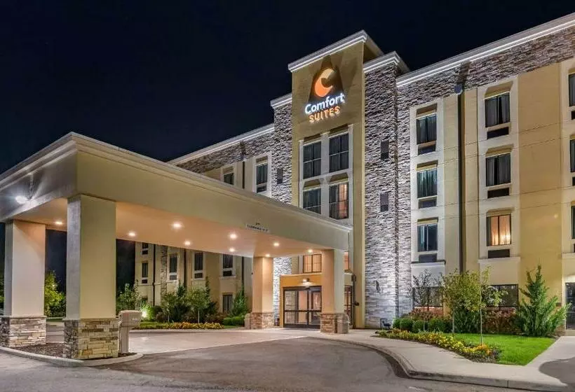 ホテル Comfort Suites Columbus Airport