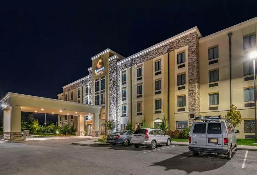 ホテル Comfort Suites Columbus Airport