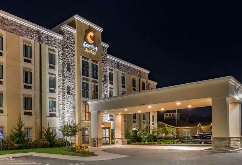 ホテル Comfort Suites Columbus Airport