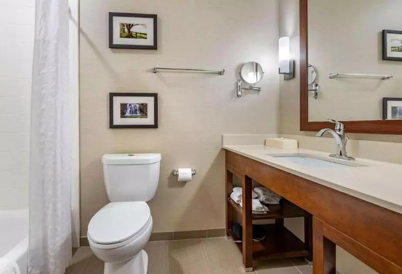 ホテル Comfort Suites Columbus Airport
