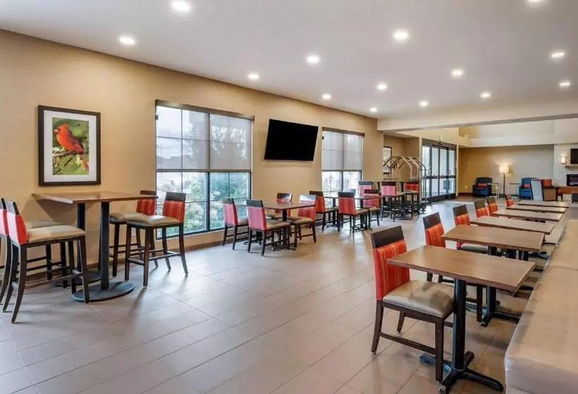 ホテル Comfort Suites Columbus Airport