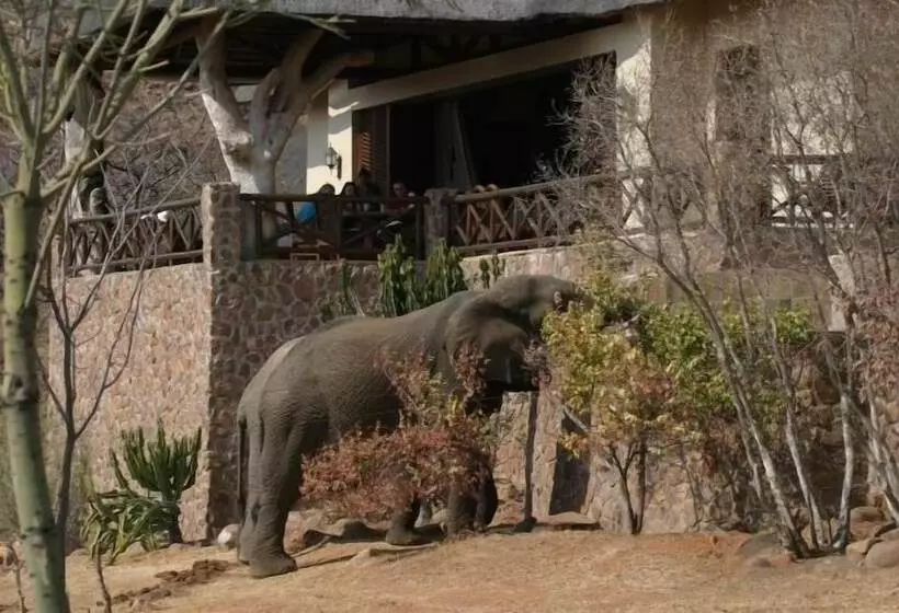 ホテル Izingwe Lodge
