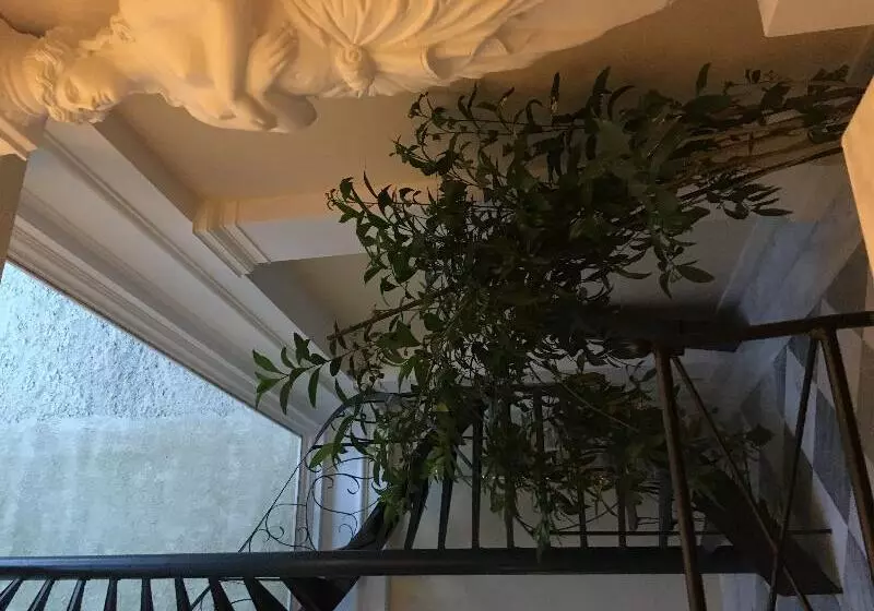 ホテル Noble Suites