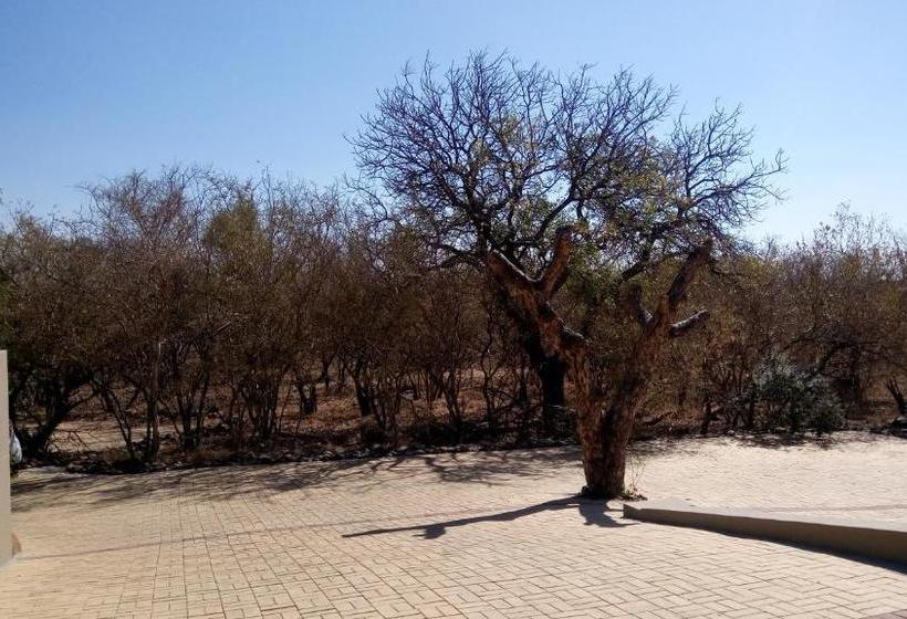 酒店 Stand Alone Rooms 62 Blyde Wildlife Estate