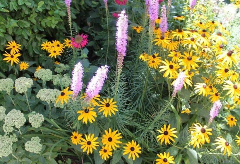 호텔 The Beech Tree B&b