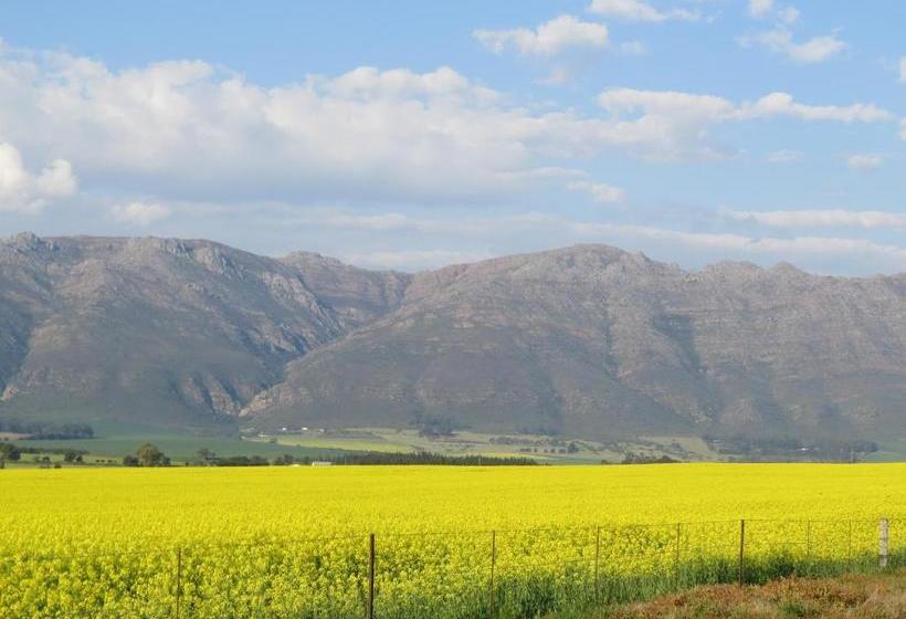 هتل The Orange Bowl