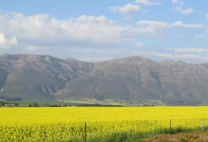 Hotelli The Orange Bowl