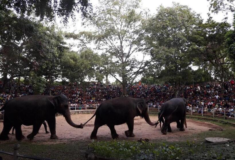 فندق Weligama Bay Eco Villa