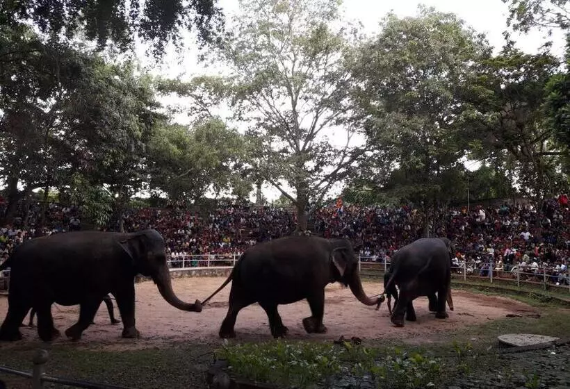 ホテル Weligama Bay Eco Villa