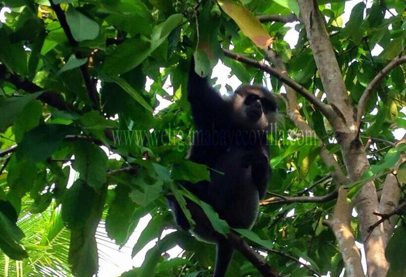 فندق Weligama Bay Eco Villa