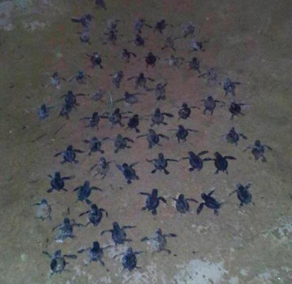 فندق Weligama Bay Eco Villa