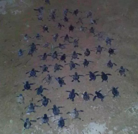 ホテル Weligama Bay Eco Villa