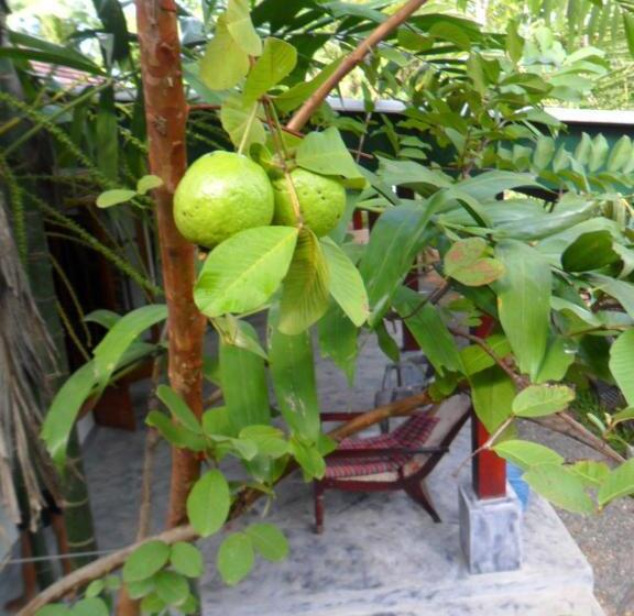 فندق Weligama Bay Eco Villa