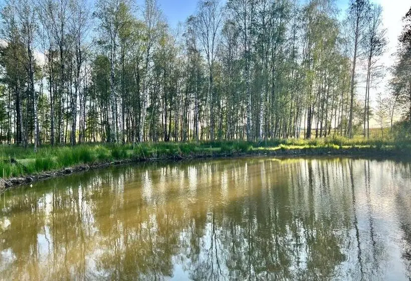Brzozowy ług Pensjonat