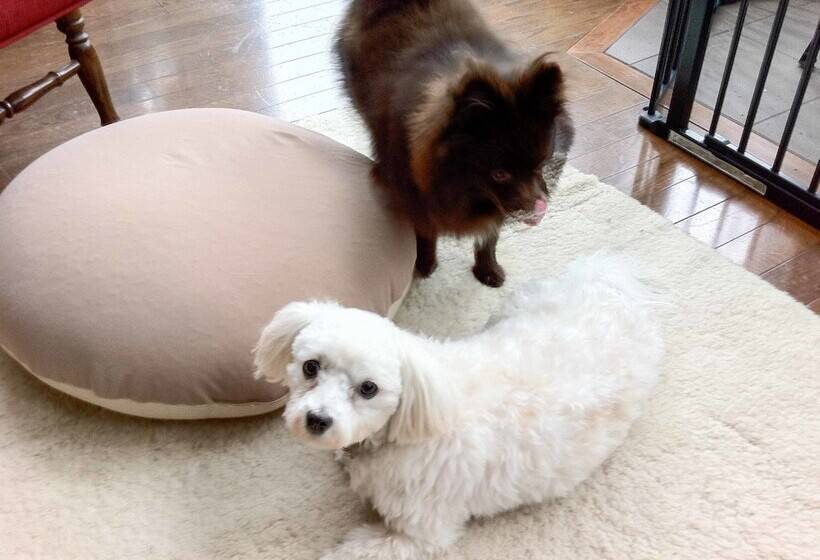 호텔 Pension Keyaki