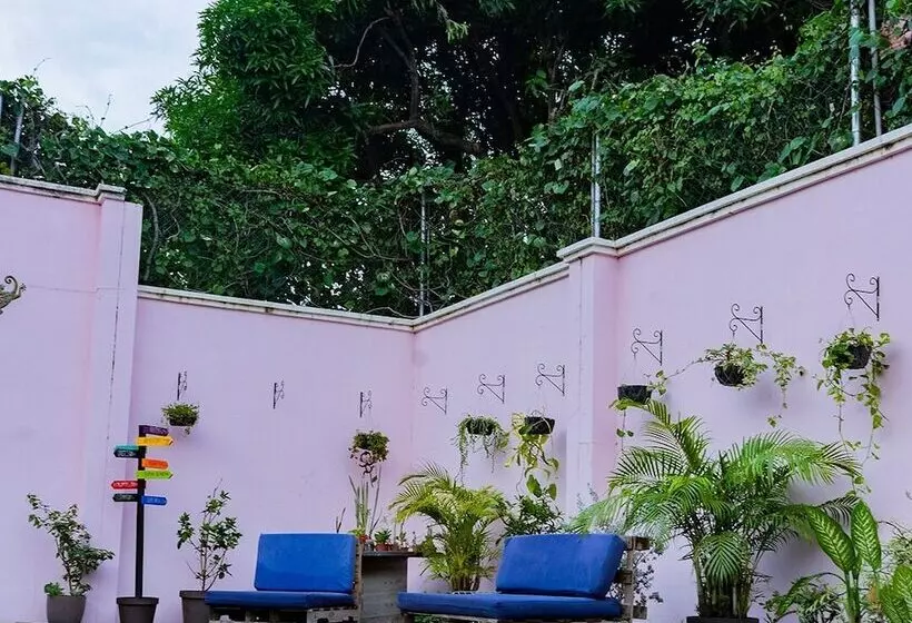 Hostal Casa Luna