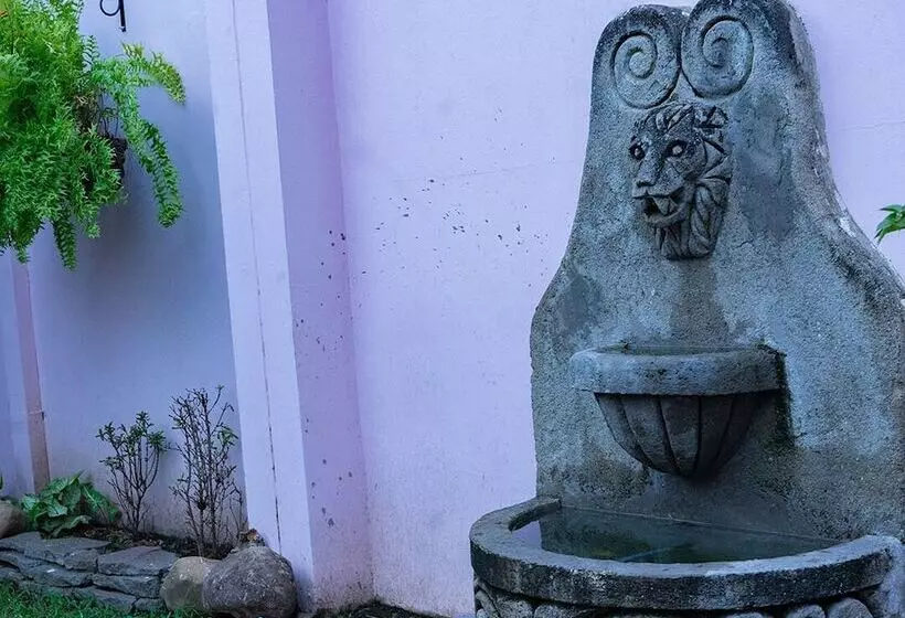 Hostal Casa Luna
