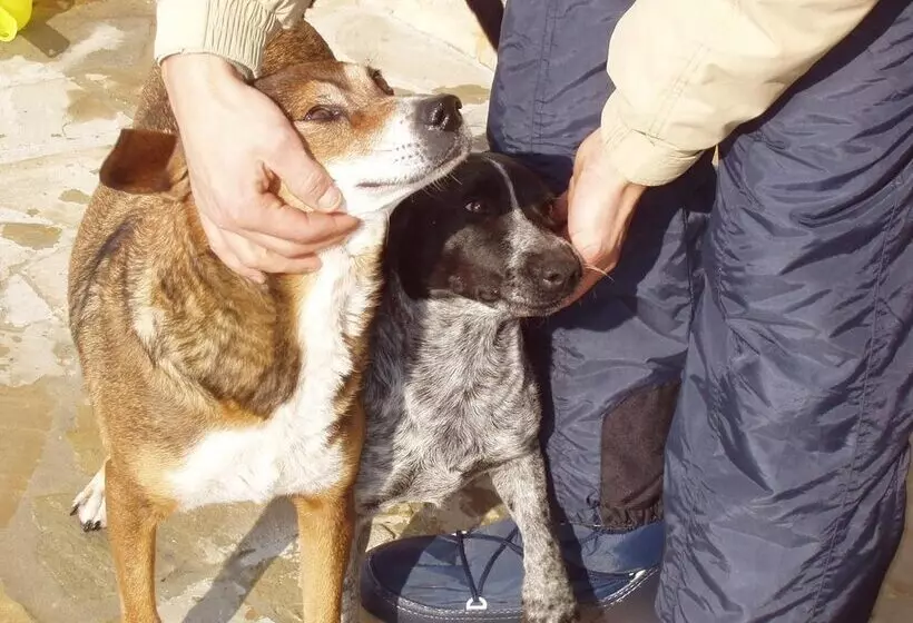 Hotelli Azienda Agrituristica Le Bucoliche