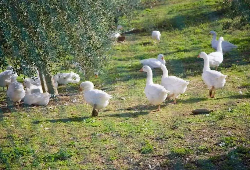 Hotelli Azienda Agrituristica Le Bucoliche