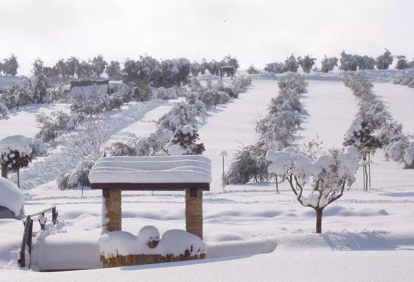 Hotelli Azienda Agrituristica Le Bucoliche