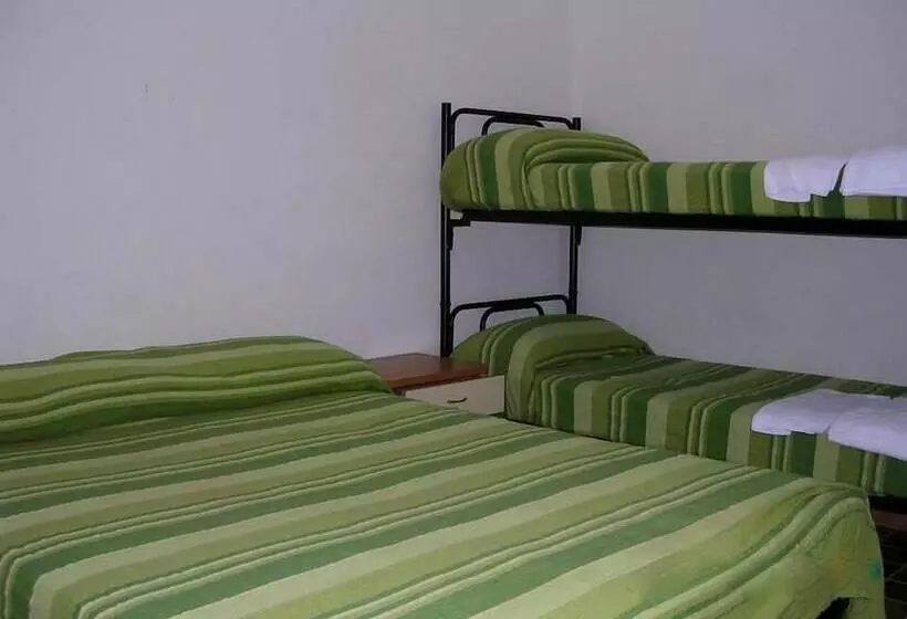 ホテル Camping Golfo Dell Asinara