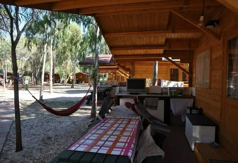 ホテル Camping Golfo Dell Asinara