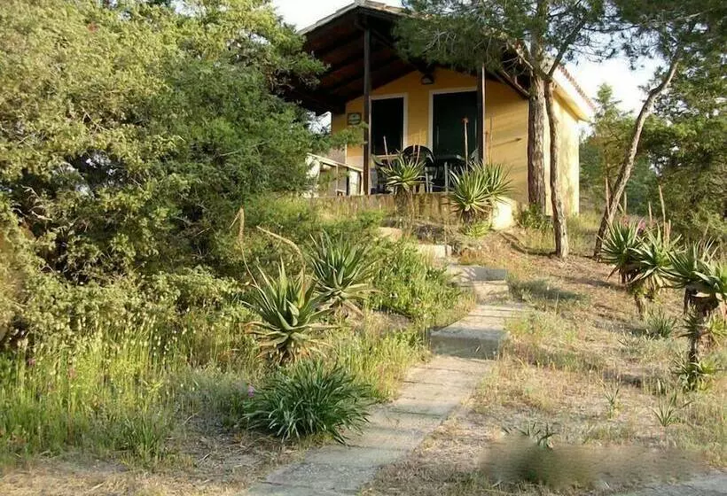 ホテル Camping Golfo Dell Asinara