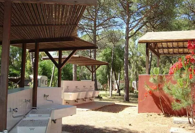 ホテル Camping Golfo Dell Asinara