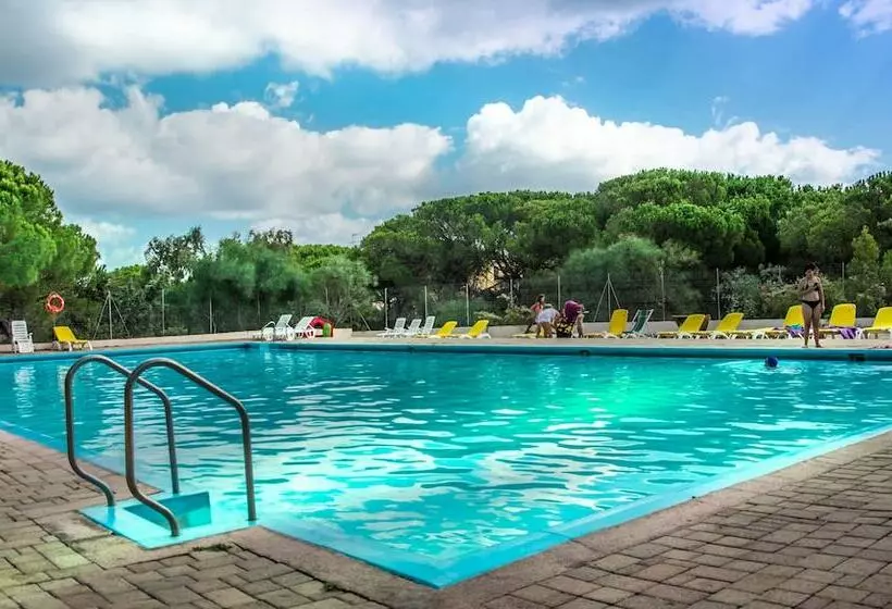 ホテル Camping Golfo Dell Asinara