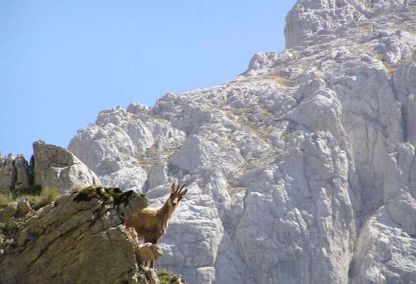 בית מלון כפרי Rural Picos De Europa