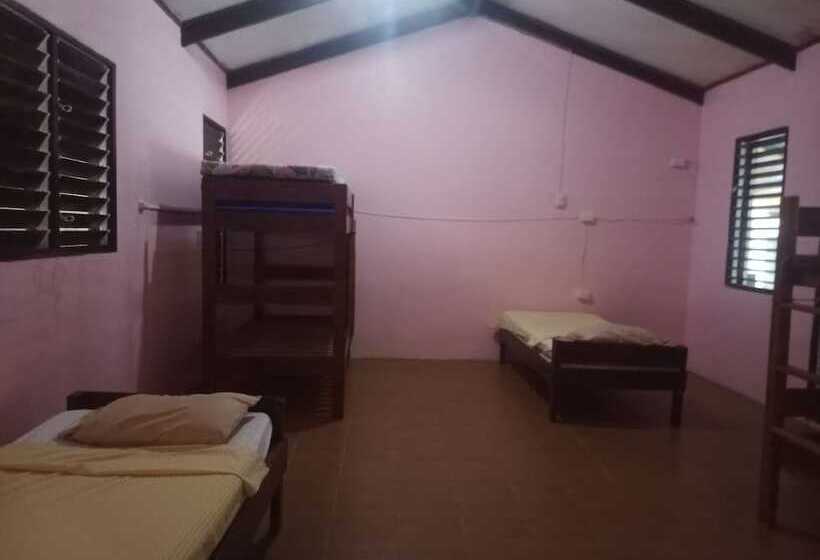 هتل Bluepango Guest House Hostel