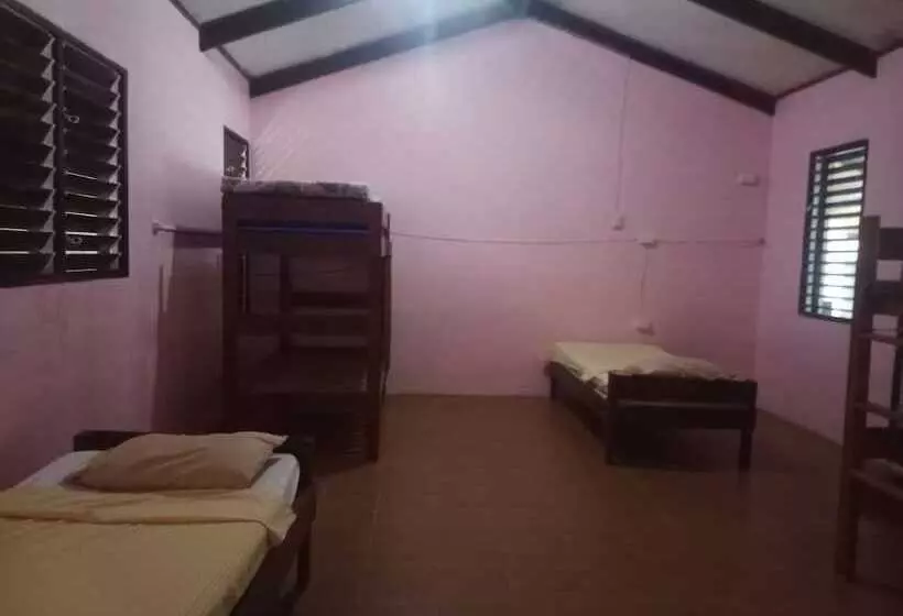 هتل Bluepango Guest House   Hostel