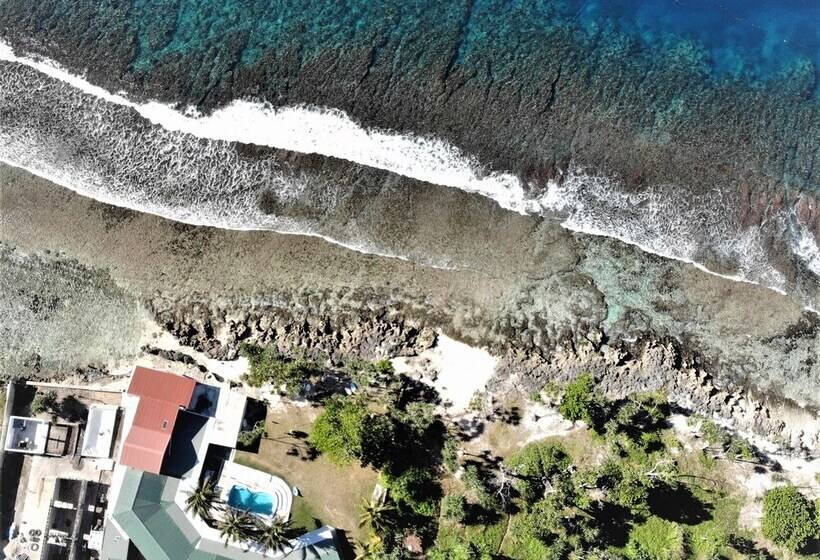 هتل Bluepango Guest House Hostel